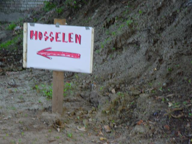 mosselsouper 2007 (9) (Small)